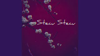 Download lagu Stecu mp3