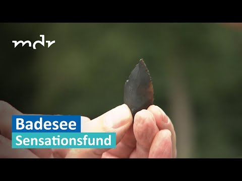 Archäologisch bedeutender Fund in Badesee in Dessau gefunden | MDR um Zwei | MDR