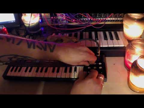 X1L3 - circuit bent - PT87 - harsh noise and power electronix redux