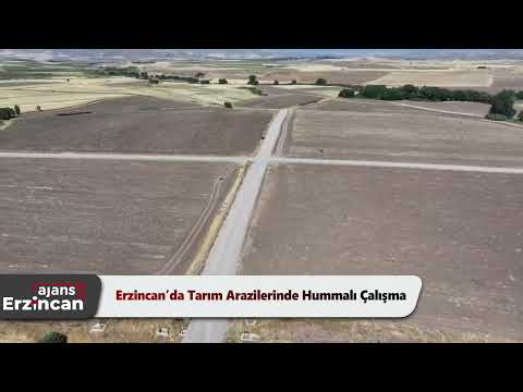 Erzincan’da Tarım Arazilerinde Hummalı Çalışma