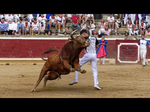 CONCURSO DE RECORTADORES JÓVENES PROMESAS TAFALLA 2025
