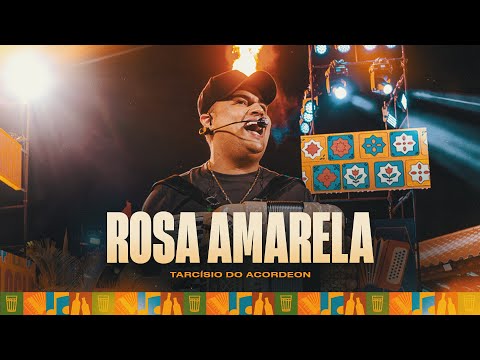 ROSA AMARELA - Tarcísio do Acordeon (Tarcisiologia)