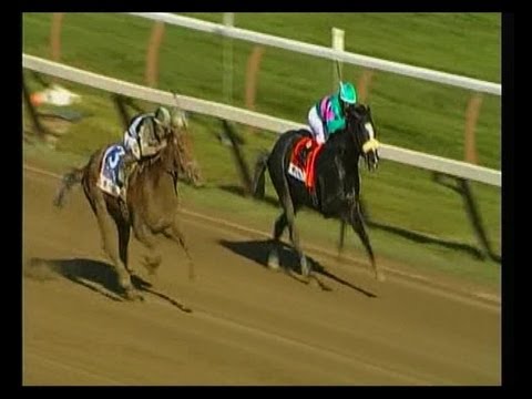 2013 King's Bishop Stakes - Capo Bastone