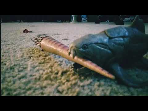 Dunkleosteus vs Giant Orthocone .Stop Motion Fight