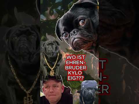 MONTE WO IST KYLO? VERSTOSSEN? UND WANN LEA LEAK(KOMPLETT)? #monte #montanablack #leak #lea #kylo