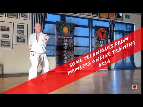 Karate training; basic combinations.