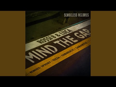 Mind the Gap (Teeza Temix) (feat. Flirta D)