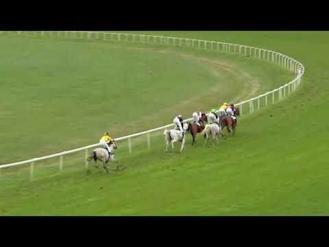 Avenches/17.09.2017/Wathba Stallion Cup