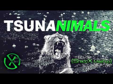 Martin Garrix Vs DVBBS & Borgeous - Tsunanimals [ShaddX Mashup]