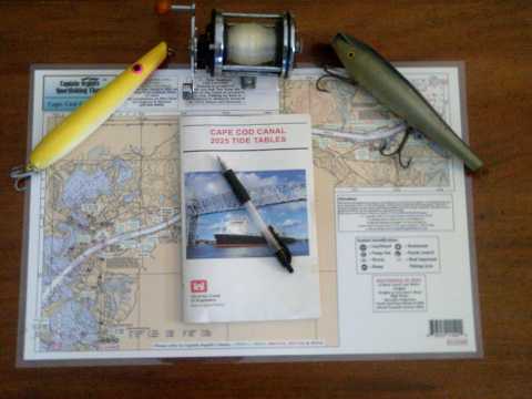 Humarock Tide Chart