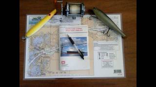 CAPE COD CANAL 2026/FISH LIKE A LOCAL/UNDERSTANDING THE CANAL TIDES/EXCELLENT TUTORIAL/STRIPERQUEST