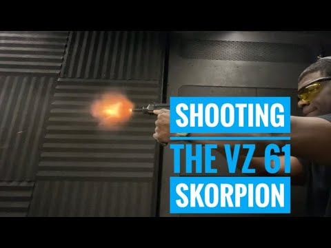 Shooting: VZ 61 Skorpion 32ACP #shorts