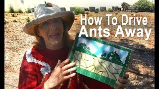Get Rid of ANTS Easy Fast & FREE, Surprise Natural Control Method NO pesticides in the Garden Plants