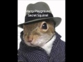 Marcy Playground  Secret Squirrel