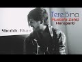 Tere Bina | Mustafa Zahid | Bilal Saeed | cover by Shoddo Khan