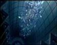 Ghost In The Shell AMV