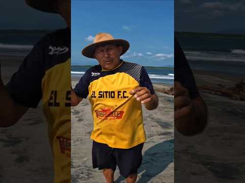 las tortugas en la punta de sanjuan en la bahía de Jiquilisco usulutan ElSalvador