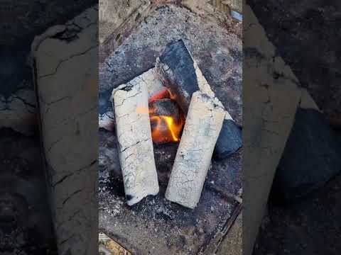 Charcoal briquette pini kay