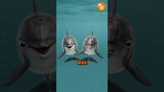 Animals that mourn like Us