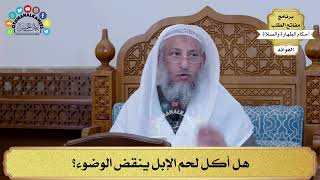 45 - هل أكل لحم الإبل ينقض الوضوء؟ - عثمان الخميس
