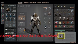 Solasta Lost Valley DLC. Copper beetle key location!