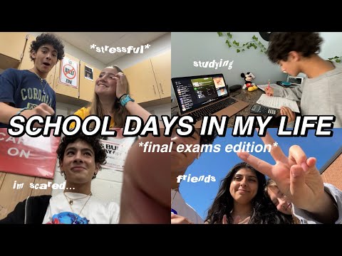 SCHOOL DAYS IN MY LIFE *what final exams are actually like*