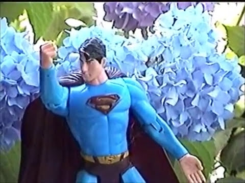 Skip Skiffington and the Jihad of Love - She Doesn't Listen