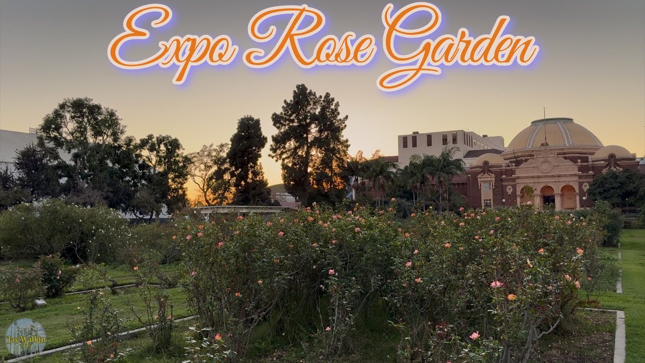 Expo Park Rose Garden Fall 25’ 🥀 | Los Angeles, California, 🇺🇸[4K]