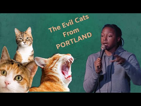 Josh Johnson fumes about The Evil Cats From PORTLAND