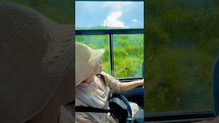 妻との旅行を15秒で鹿児島・熊本旅行振り返る。#shorts