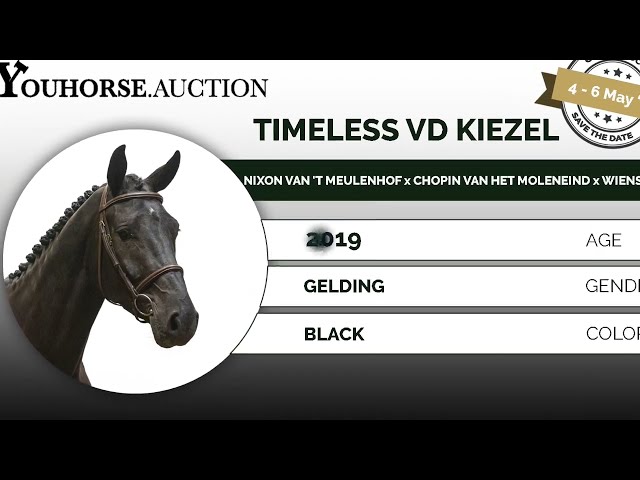 Timeless vd Kiezel homevideo
