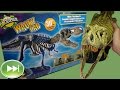Building a T-Rex Skeleton Model Kit in Time Lapse