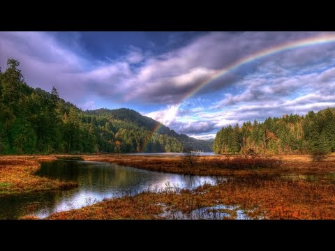 Woody van Eyden & Gil Zambrano with Cheryl Barnes — Embrace the Rainbow (Extended Guitar Mix)