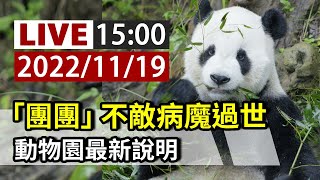 [爆卦] 「團團」逝世 臺北市立動物園說明記者會