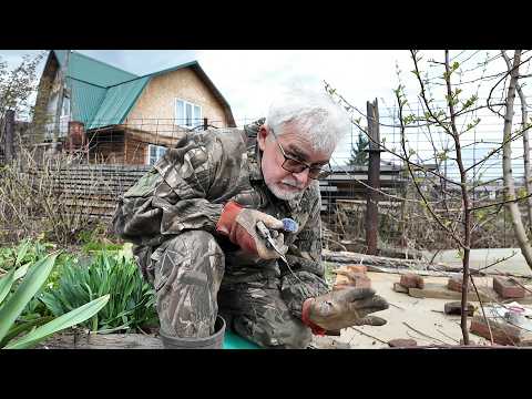 Вперёд, товарищи! На дачу! Выпуск от 05.05.26