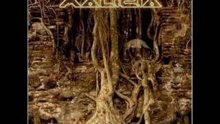 Malicia - Violadores de la Ley (Cover de los Violadores)