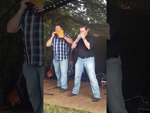 Any dream will do (LIVE)