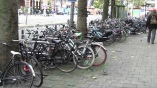 I'm Not Going Down: Thoughts from Amsterdam