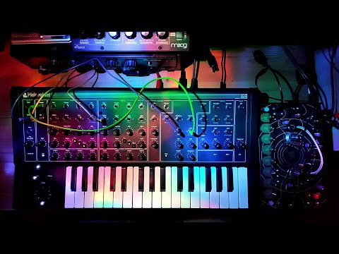 Crunchy testdrive with the PWM Malevolent