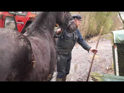 Frans druk aan het werk deel 2