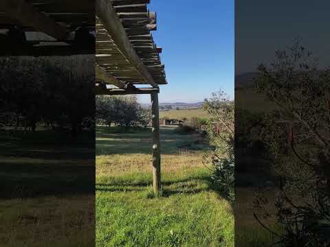 Casa 2 El Edén Total