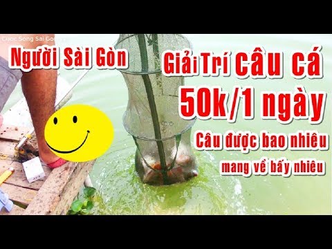 Người dân Sài Gòn Giải Trí câu cá cuối tuần giá 50K/một ngày quá nhiều cá -T1
