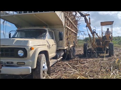 Caminhão Chevrolet D70! E muita  resenha com Sele de Araçoiaba-pe a LENDA🤣