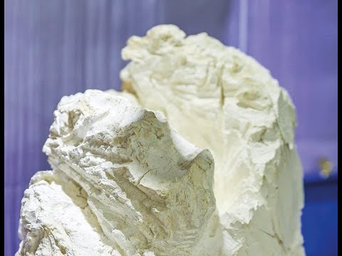 Cul(T)inaria-Tasting 015 - Meerschaum: Sag mal, wo kommst du denn her?