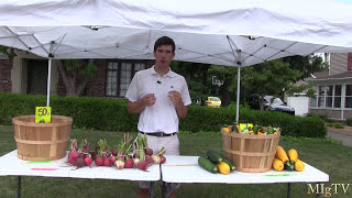 How to Make Money With Your Garden - Produce Stand vs. Farmers Market