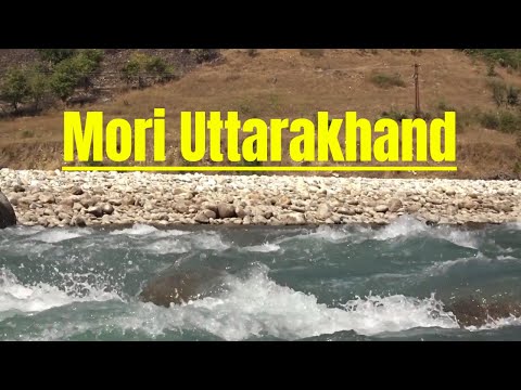 Mori Uttarakhand | A Paradise in the Garhwal Himalayas | Heavenly journeys