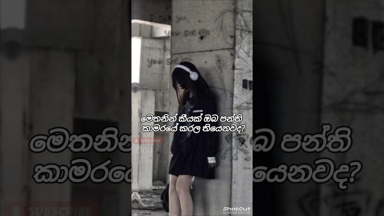 කියමු බලන්න යාලුවනේ!🫶🏻🥹 #srilanka