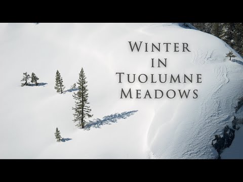 Tuolumne Meadows Lodge