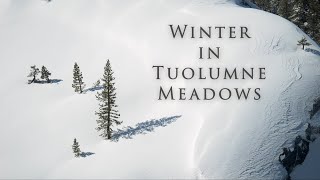 Winter in Tuolumne Meadows - Yosemite Nature Notes: Episode 37