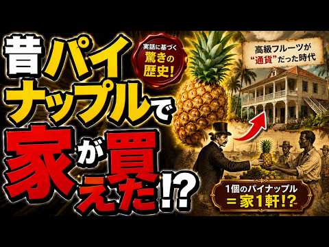 パイナップル一個で家が買えた!?その驚くべき理由｜パイナップルの歴史